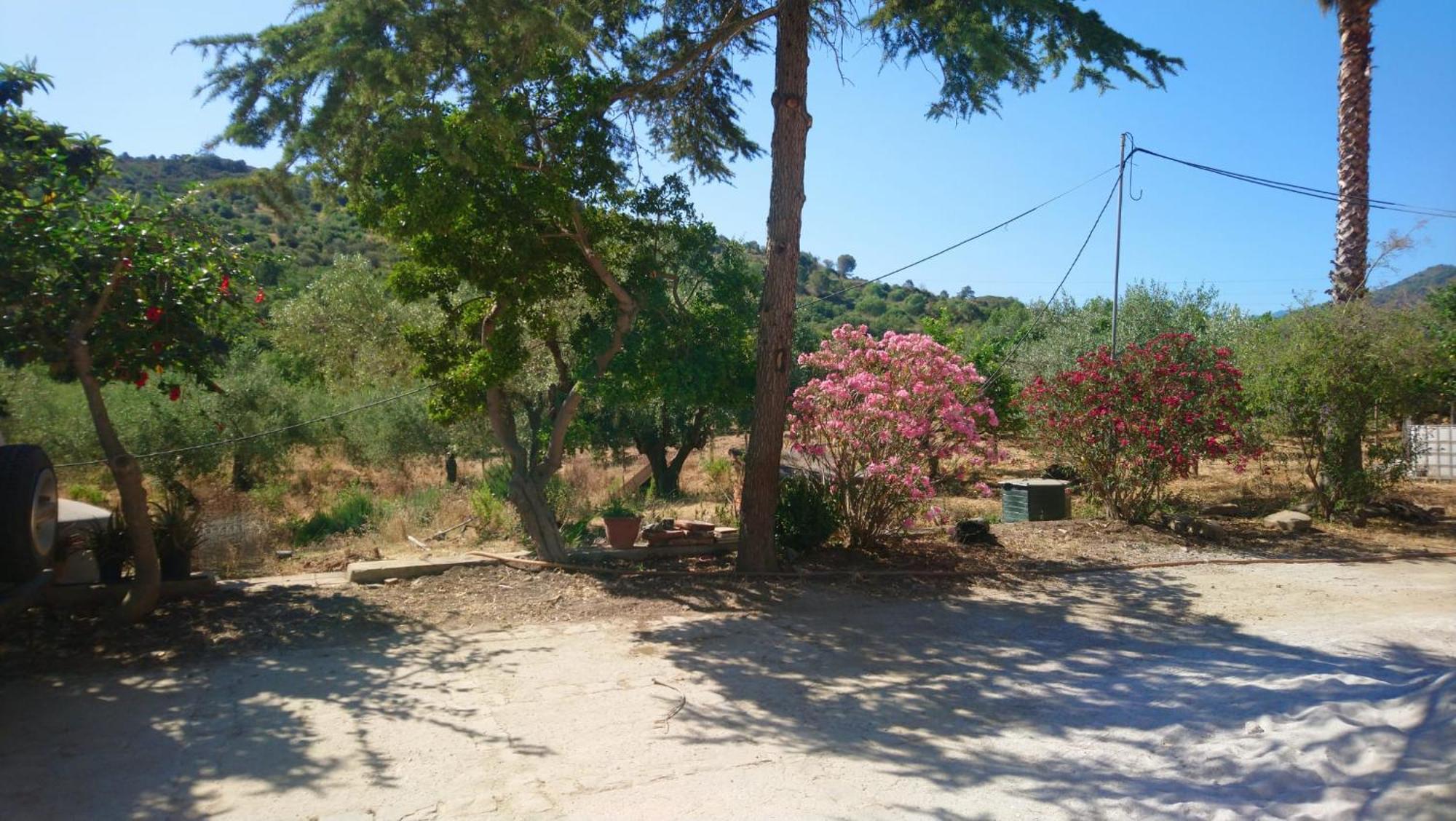 Linati'S Apartments Pollina Dış mekan fotoğraf