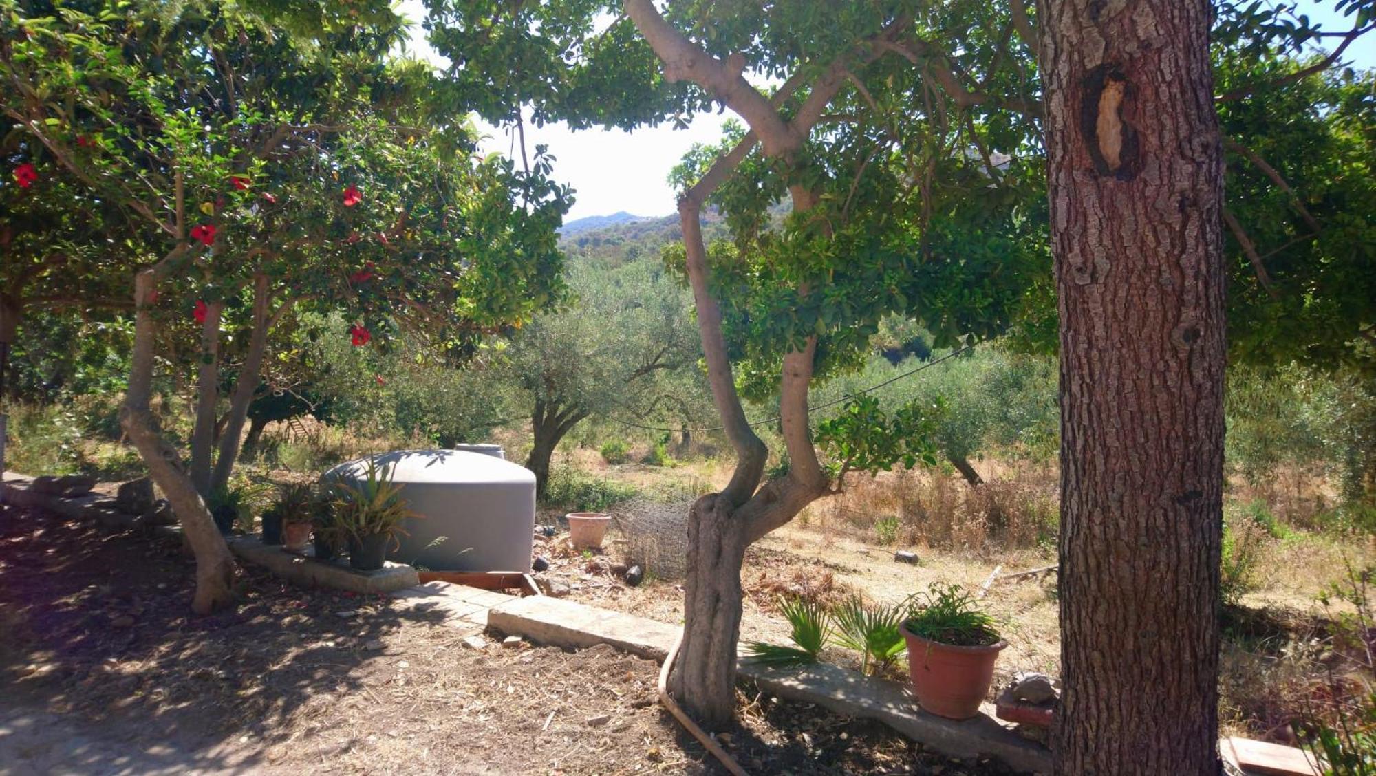Linati'S Apartments Pollina Dış mekan fotoğraf