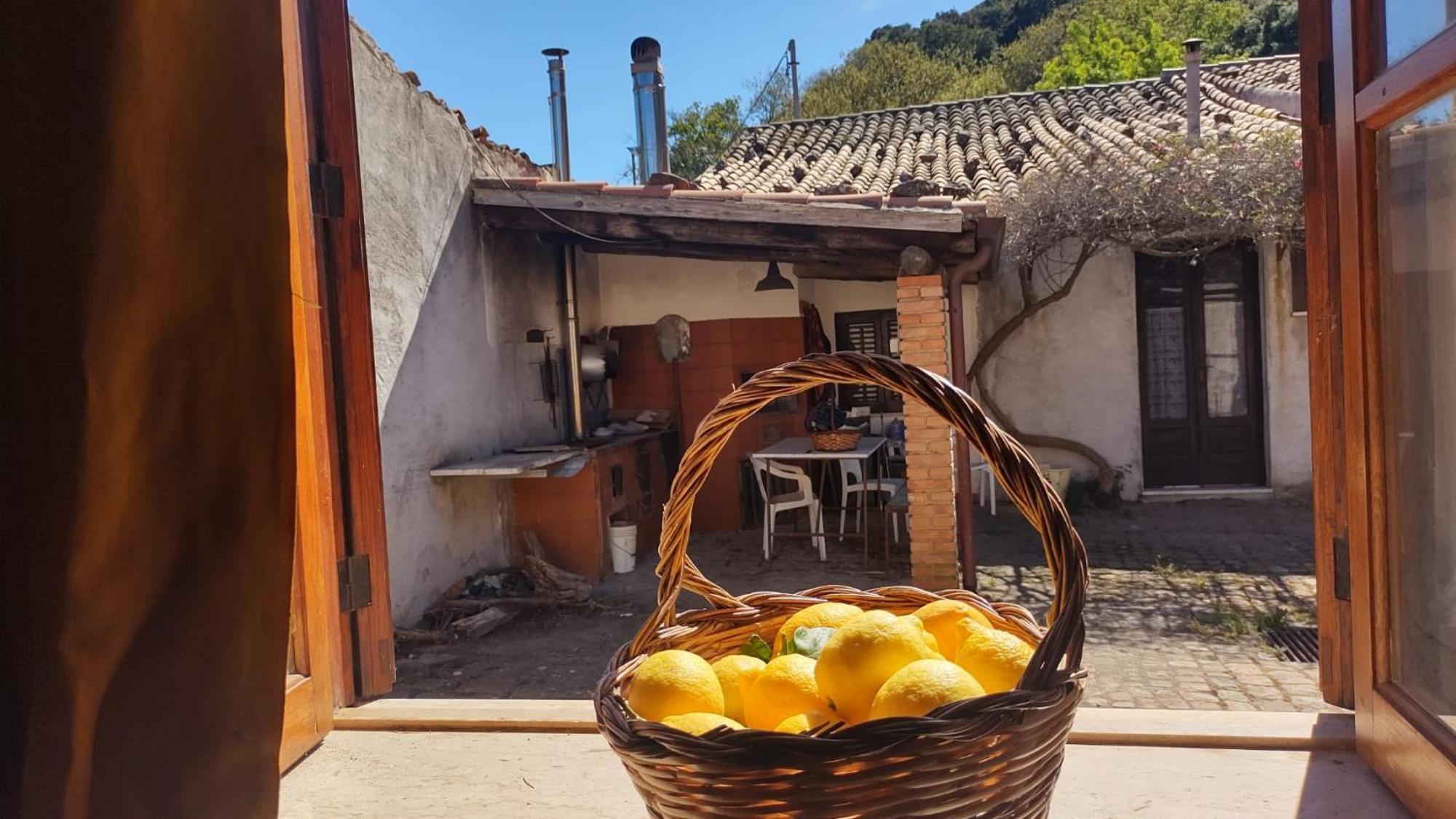 Linati'S Apartments Pollina Dış mekan fotoğraf