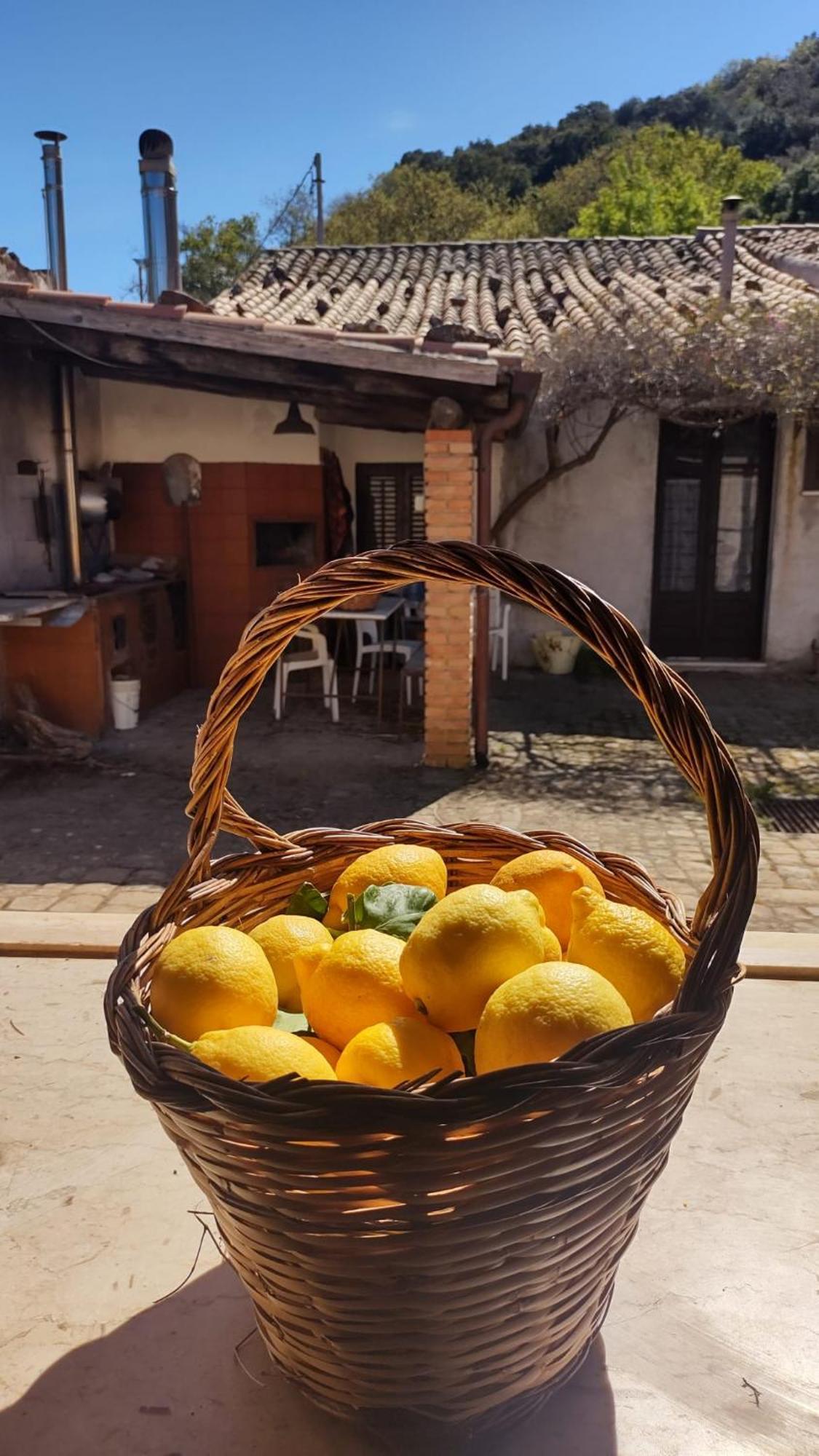 Linati'S Apartments Pollina Dış mekan fotoğraf